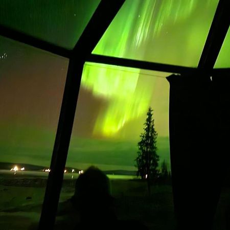 Aurora River Camp Glass Igloos & Cabins Kiruna Εξωτερικό φωτογραφία